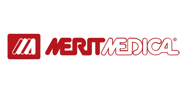 meritdlogocr